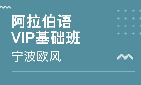 入門阿拉伯語培訓班哪里有？